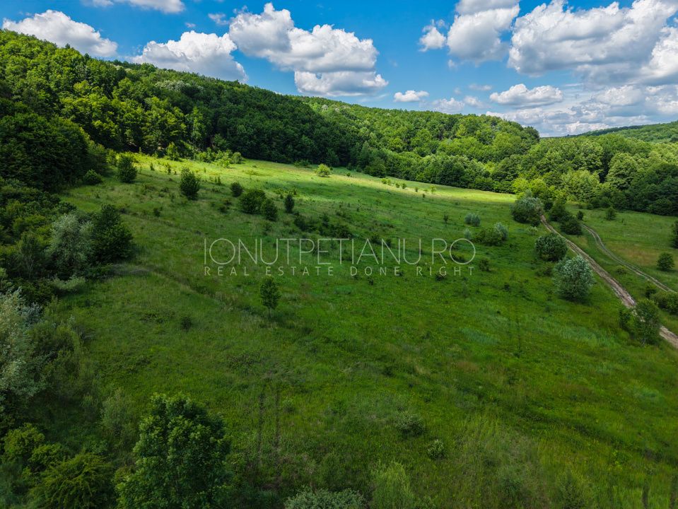 Teren Pasune + Arabil - Valea Mare Podgoria Arges – fotografia 9 din 29