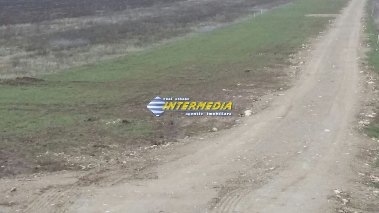 Teren Intravilan de vanzare 5000mp Alba-Micesti – fotografia 1 din 1