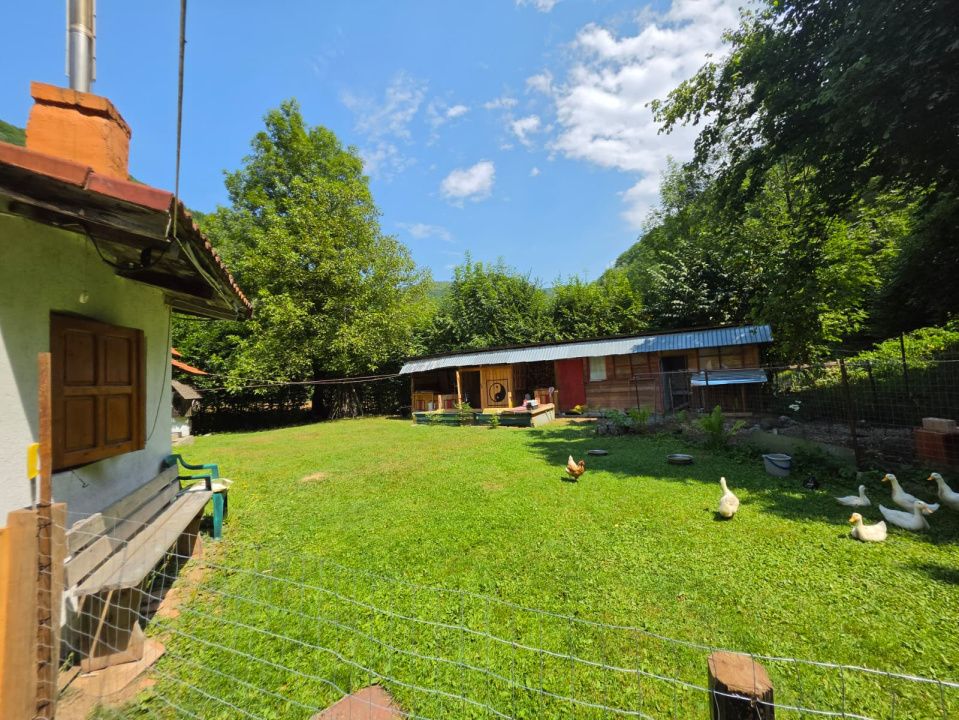 🏡 PROPRIETATE EXTRAORDINARĂ– LOTRIOARA, JUDEȚUL SIBIU! 🌲 – fotografia 10 din 72