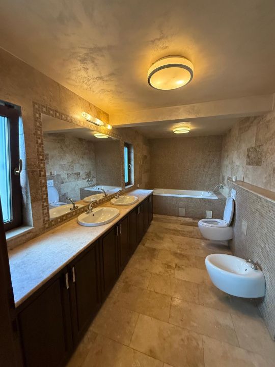 Casă individuală deosebită în Făget, eleganță, confort și intimitate – fotografia 8 din 8
