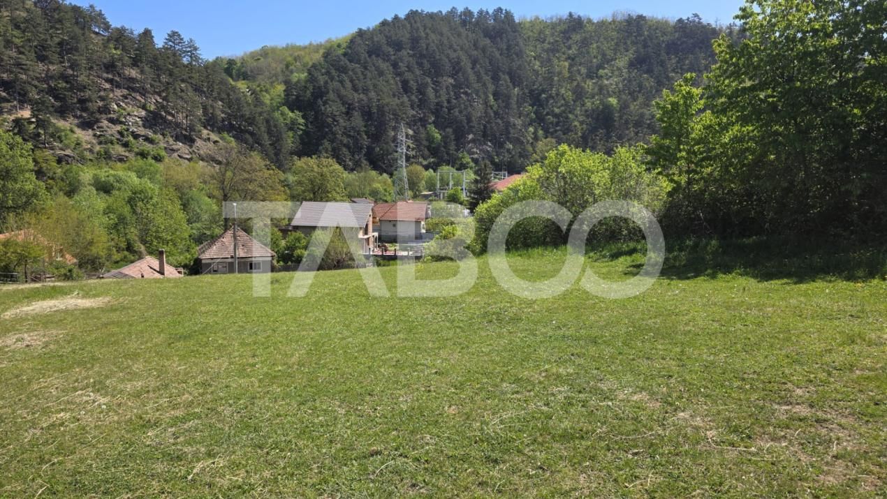 Teren intravilan de vanzare in Sasciori jud Alba – fotografia 2 din 4