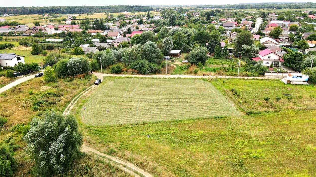 Teren intravilan la Teghes – pozitionare excelenta langa padure – fotografia 4 din 24