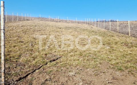 Teren intravilan 508 mp cu utilitati  de vanzare in Sura Mare - Sibiu