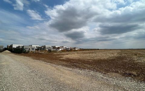 Teren 2500 MP | Balotesti | Intravilan | Integral sau Loturi Individuale |
