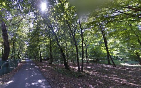 Teren cu deschidere la Padurea Snagov- Gruiu
