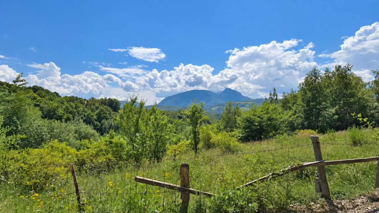 De vânzare teren de 4000 mp cu potențial în Poiana Mărului – fotografia 4 din 5