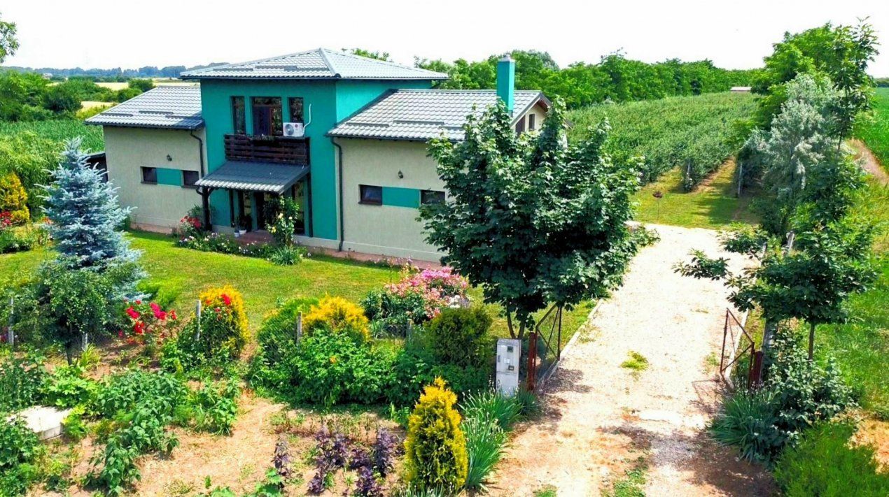 Vila + Afacere 15.000mp Clinceni – fotografia 1 din 31