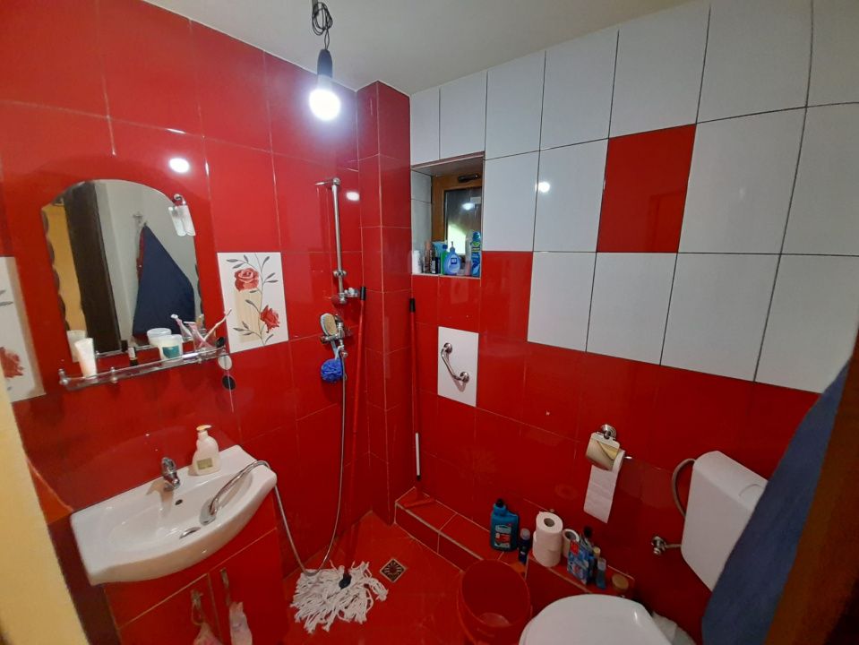 Casa individuala 4787mp teren,zona RUSU BARGAULUI – fotografia 16 din 32