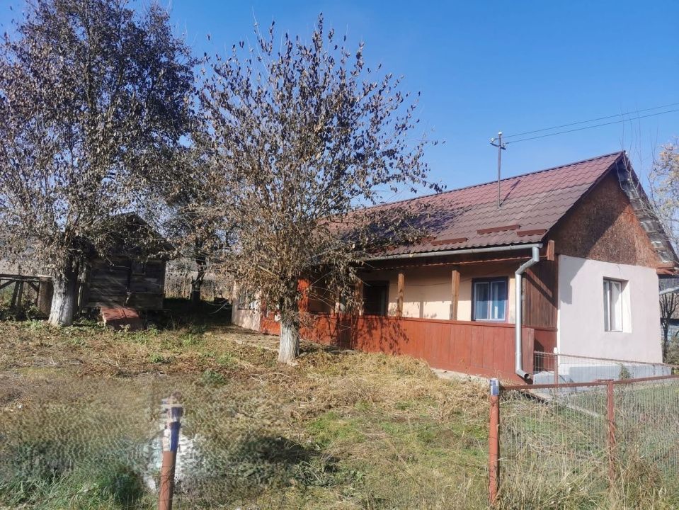 Casa individuala 100mp cu teren 8000mp – fotografia 4 din 21