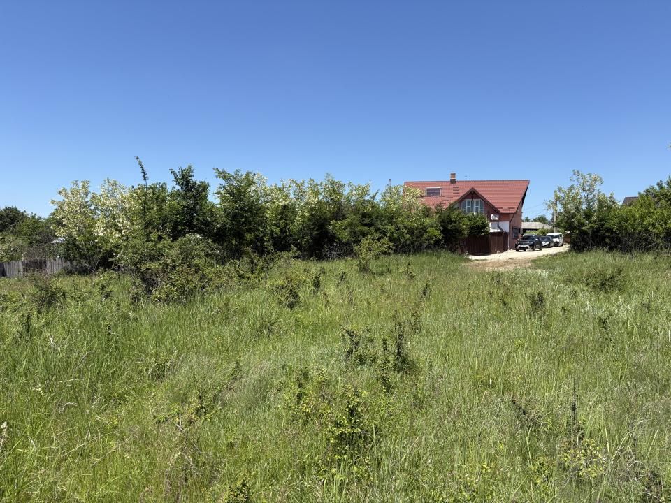 Intravilan 3015 mp Moșoaia | 48 ml deschidere | Lângă pădure – fotografia 1 din 7