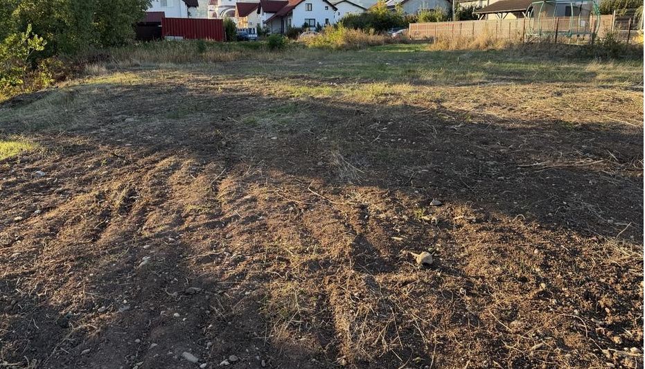 TEREN CU PROIECT I CASA PE UN NIVEL I 471 MP I CETATE I ZONA FOARTE BUNA I – fotografia 3 din 8