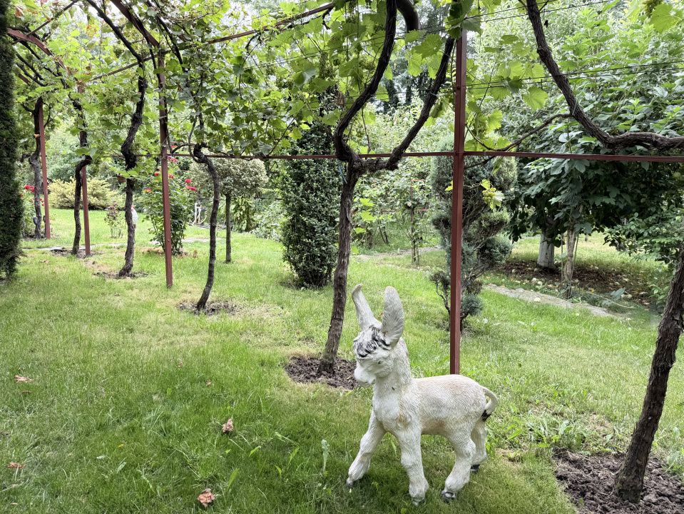 Casă cu teren de 2.405 mp și independență energetică – Poarta Albă – fotografia 15 din 25