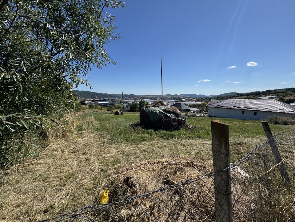 TEREN INTRAVILAN 4.600 MP - ZONA LEONI - OPORTUNITATE DE INVESTIȚIE – fotografia 3 din 5