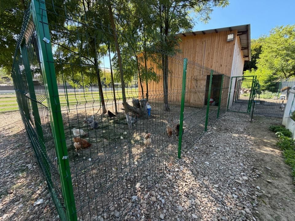 Vanzare  Casa-vila cu teren generos si padure  Surani Prahova – fotografia 31 din 34