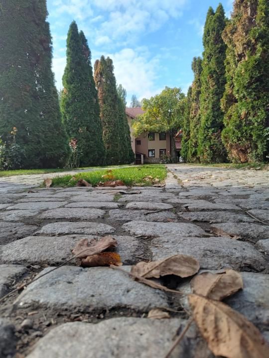 Vilă exclusivistă de vânzare în Iași – 450 mp utili și teren de 2.000 mp – fotografia 2 din 23