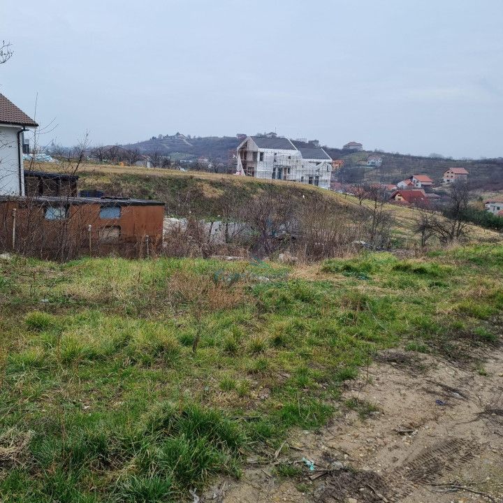 Vanzare Teren intravilan 3133 mp strada Sofiei, Oradea, Bihor - Exclusivitatate – fotografia 7 din 7