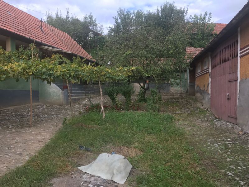 OKAZIE! Casa in Cricau 3 Camere 1300 mp. Curte Teren Fantana Utilitati Asfalt – fotografia 9 din 32