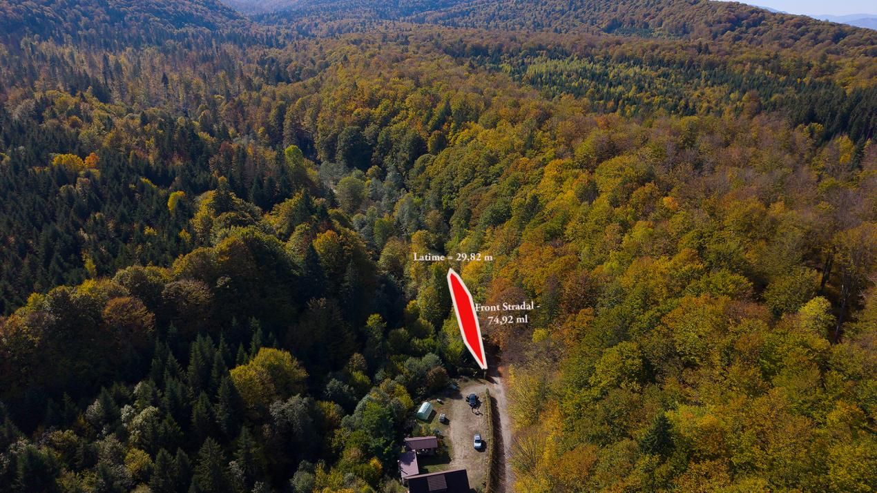 Teren 2.000 mp în Valea Avrigului Pădure, apă curgătoare și liniște – fotografia 5 din 10