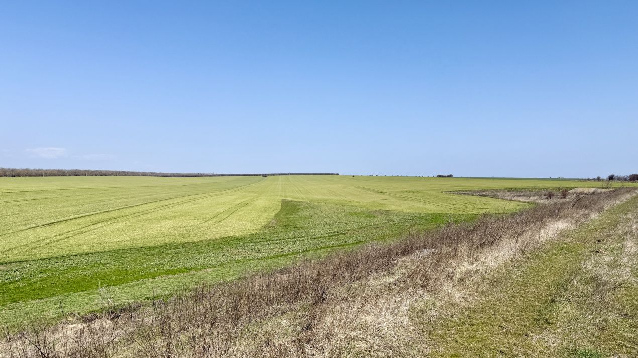 Avans 500 euro - Teren de investitie la Mare! Statiunea Costinesti 444 mp – fotografia 7 din 14