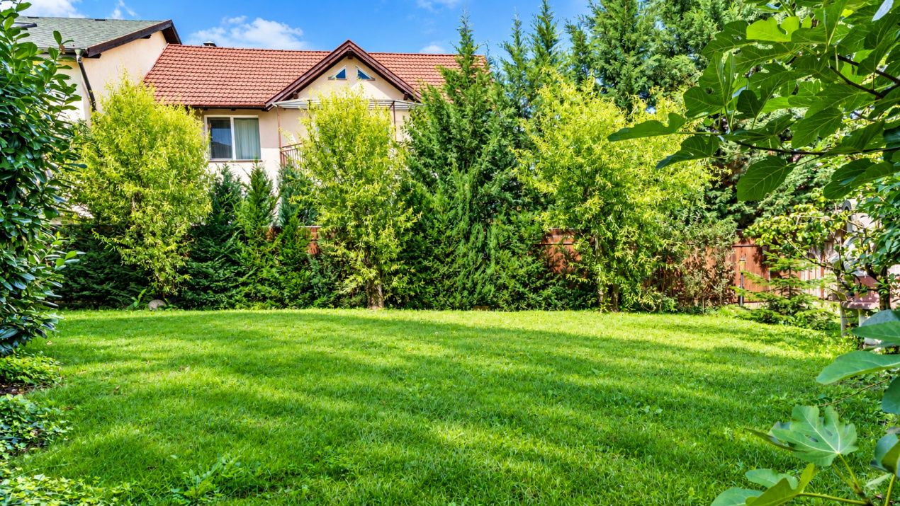 Casă deosebită cu 6 camere de vânzare în zona Andrei Muresanu – fotografia 12 din 15