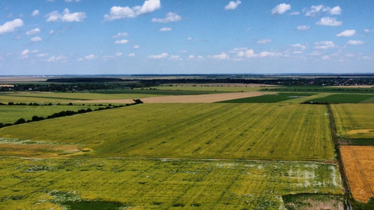 Teren Intravilan 20.000 mp Creața Dascălu, T66– dubla deschidere – fotografia 5 din 7
