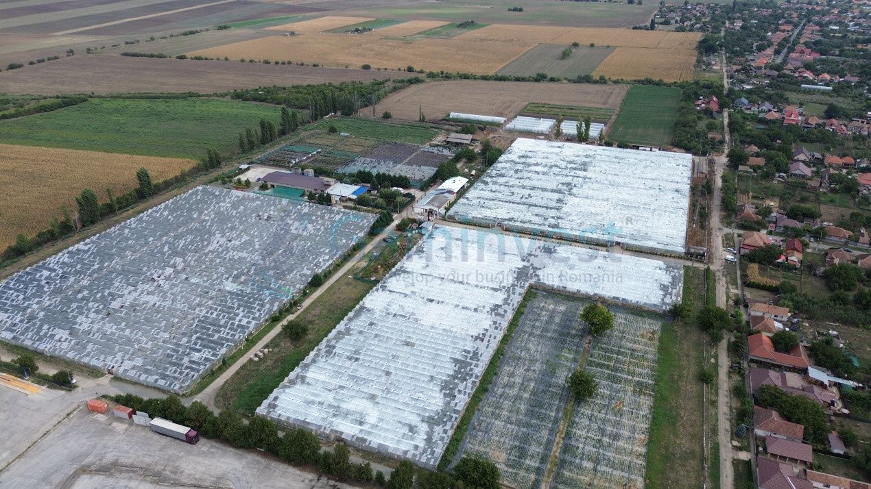 Teren intravilan 8,6 ha cu Sere si afacere horticola in Curtici, județul Arad – fotografia 1 din 5