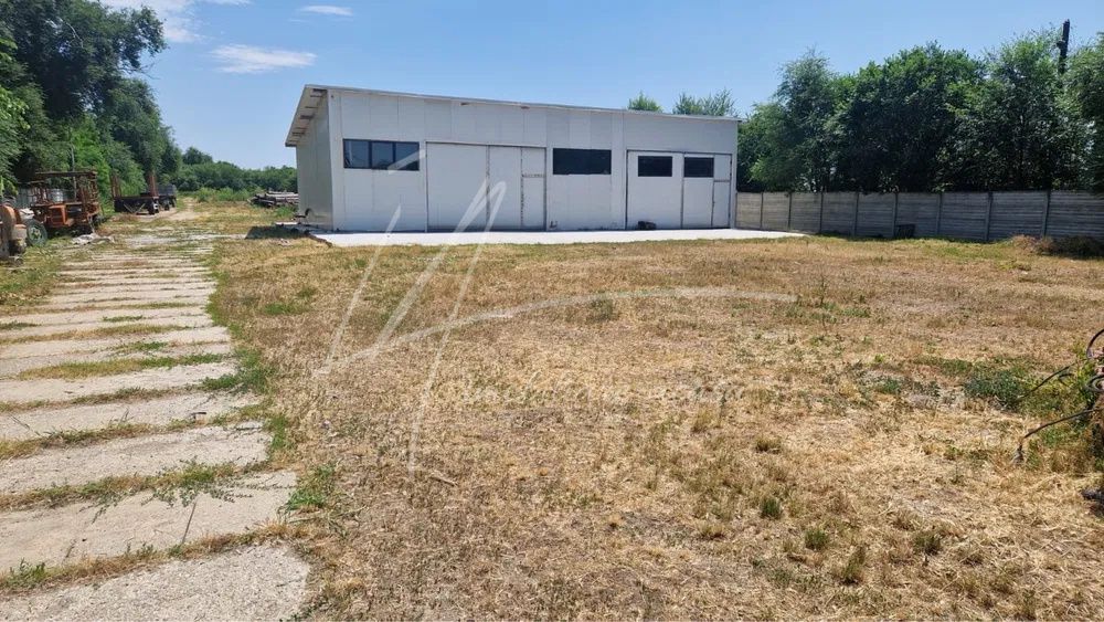 Teren langa padure,aproape de Bucuresti 10 275 mp de liniste. – fotografia 3 din 8