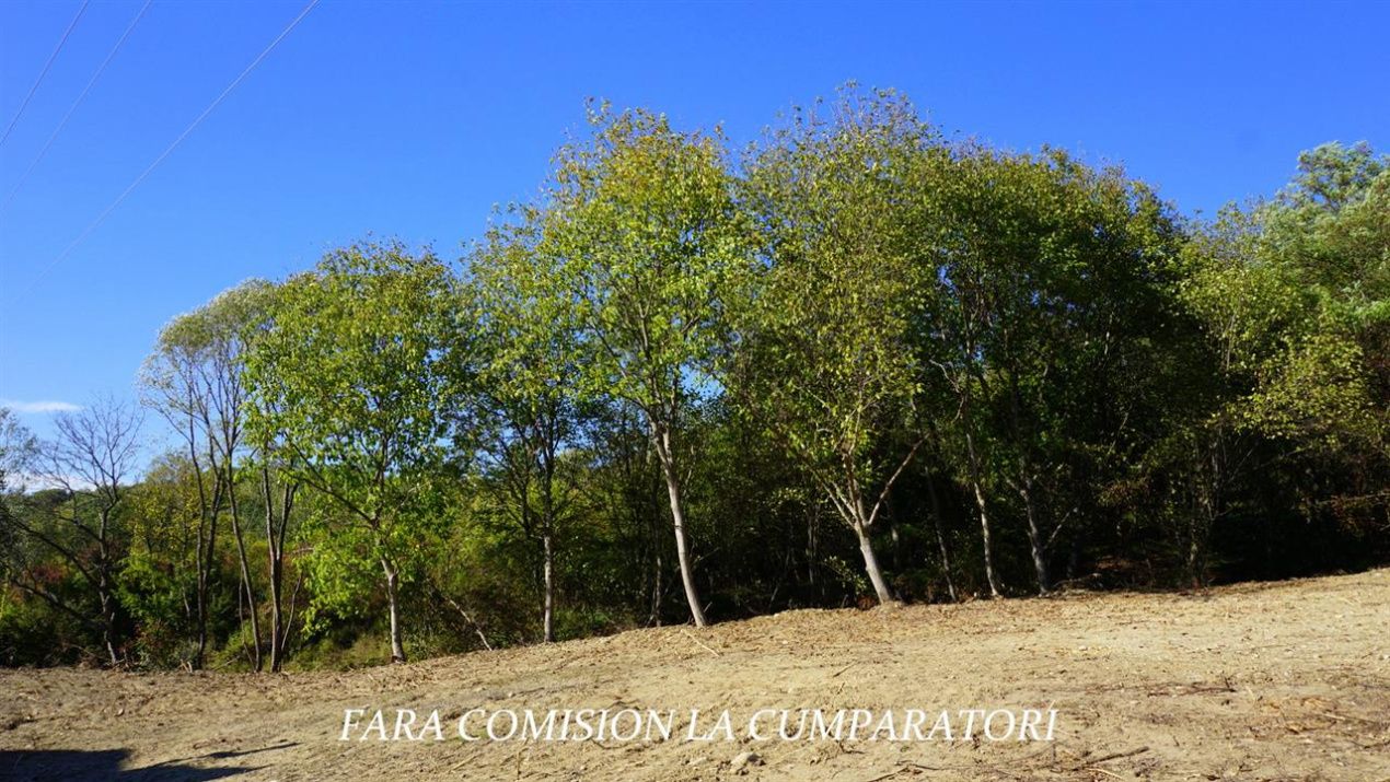 TEREN 1522 MP LA 10 MINUTE DE ORAS – fotografia 16 din 17
