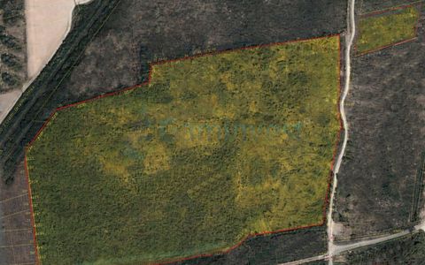 Teren intravilan de vanzare, 9 hectare , 30 km de Oradea, Bihor