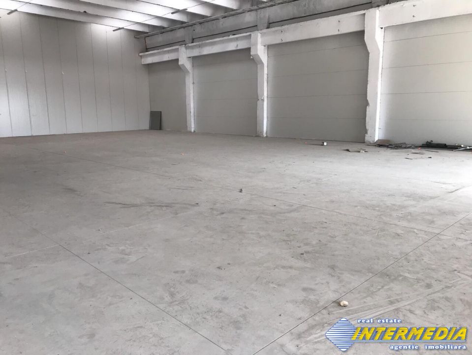 Hale Productie Depozitare Alba Su. de la 1725 mp. - 4000 mp. finisata complet – fotografia 3 din 11