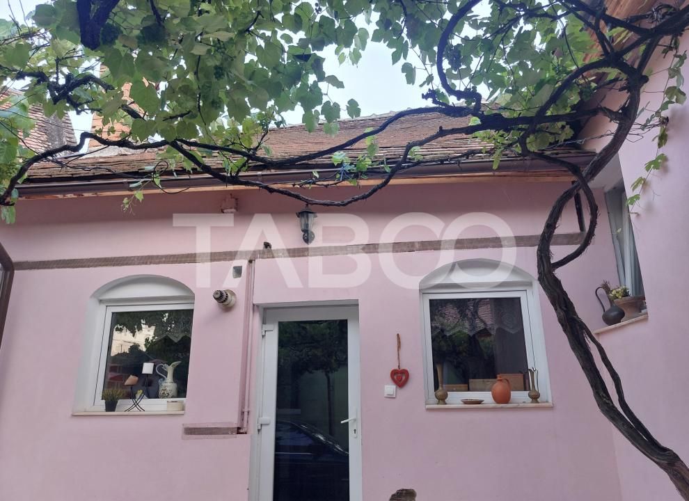 Casa 45 mp 1 dormitor bucatarie baie hol loc parcare in curte Sadu – fotografia 11 din 12