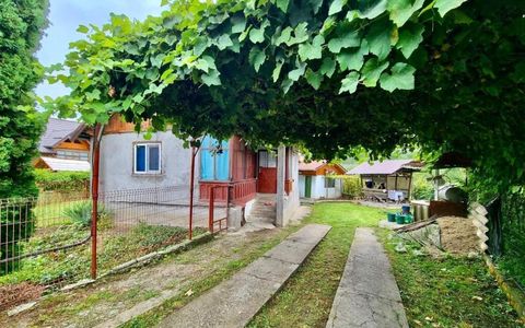 Casă de vânzare în Nucșoara – Sboghițești, teren 2400 mp