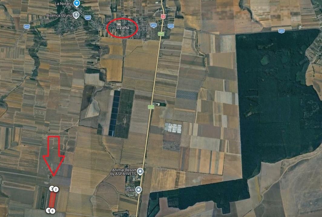 Teren Agricol Extravilan 5.5 HA – Uzunu, Călugăreni, plan secund – fotografia 3 din 3