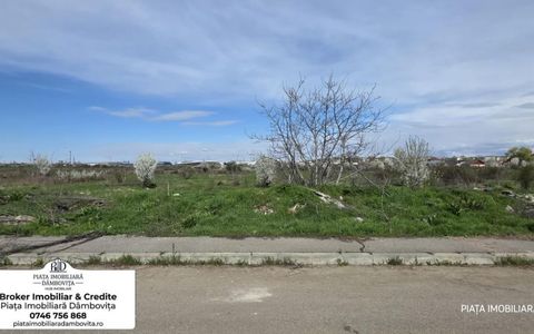 🌳 TEREN INTRAVILAN 800 MP | DESCHIDERE LA ASFALT | STR. CALAFAT | 20.999€