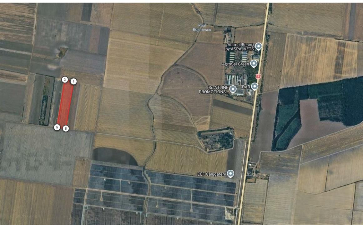 Teren Agricol Extravilan 5.5 HA – Uzunu, Călugăreni, plan secund – fotografia 2 din 3