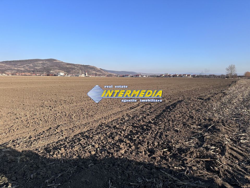 Teren intravilan de vanzare in Sard suprafete 600-800 mp – fotografia 5 din 5