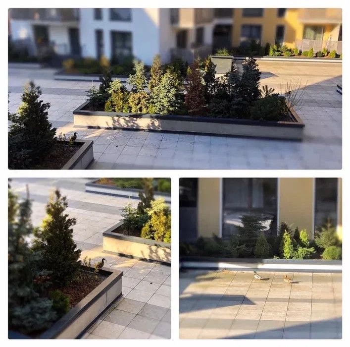 Apartament, 60 Mp, in Platinia Residence Center – fotografia 8 din 8