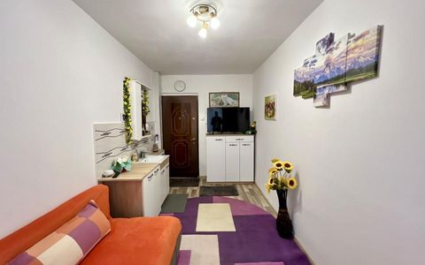 Garsoniera, 11 mp, etaj 1 - Zona Dambovita