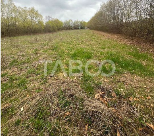 Teren intravilan pentru casa zona linistita 550 mp front 21 m Cisnadie – fotografia 4 din 7