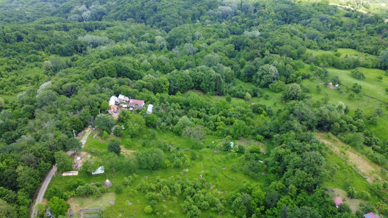 DEALUL MALULUI TEREN 1500 MP INCONJURAT DE PADURE – fotografia 7 din 11