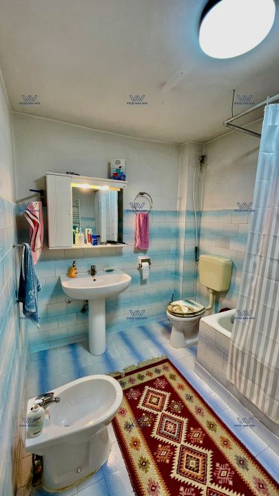 Proprietate Excepțională cu Potențial Dublu în Valea Ursului, Argeș – fotografia 16 din 20