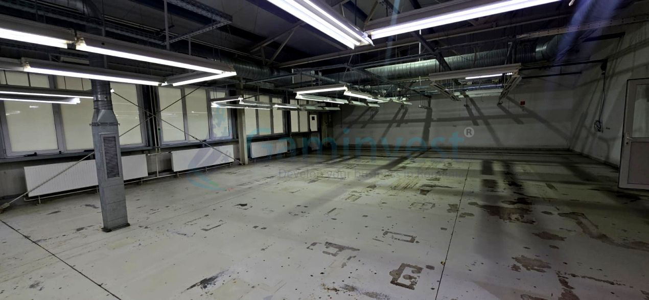 Hala de inchiriat in Marghita pentru productie si depozitare, Bihor – fotografia 8 din 19