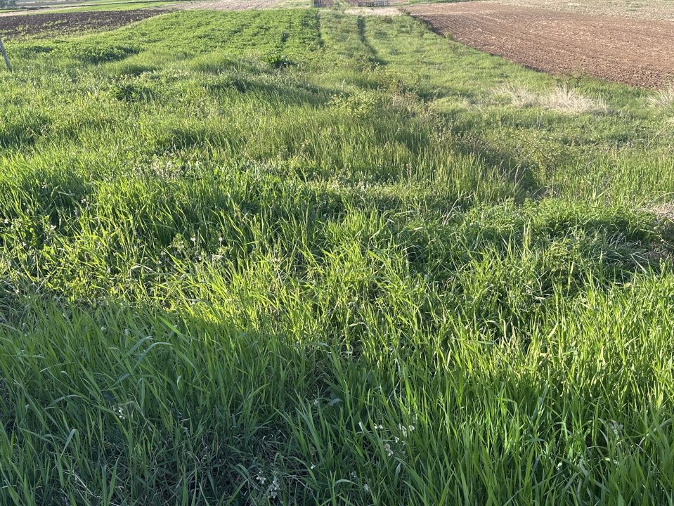 Teren Intravilan de vanzare in Alba Iulia zona Micesti in suprafata de 1077 mp – fotografia 1 din 2