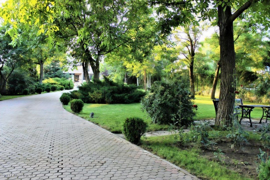 Vila exclusivistă – Buftea – Oportunitate unică! – fotografia 4 din 38