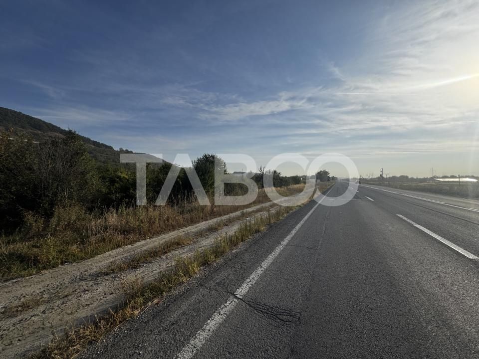 Teren extravilan 6700 mp intre DN si autostrada iesire Cristian Sibiu – fotografia 6 din 8