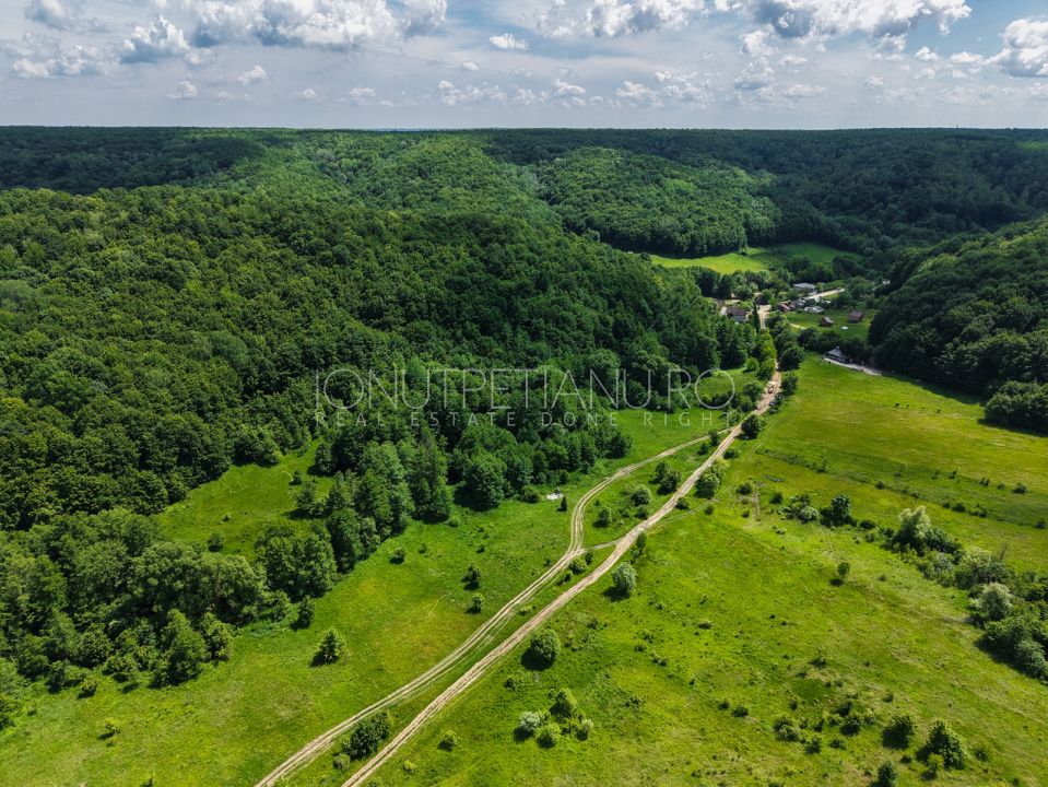 Teren Pasune + Arabil - Valea Mare Podgoria Arges – fotografia 19 din 29