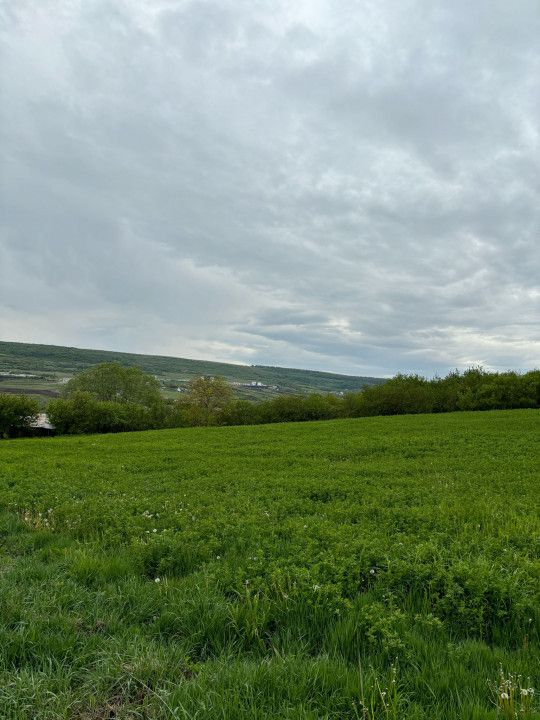 Teren extravilan, 2165 mp, priveliste, zona Dealul Fanatelor! – fotografia 4 din 6