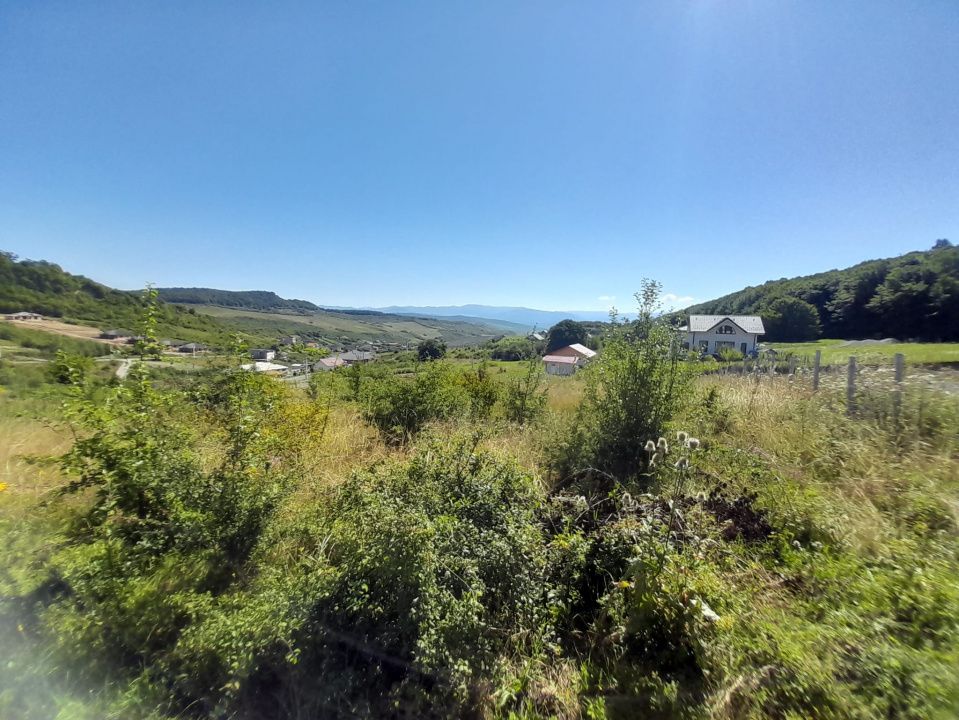 TEREN 990MP,VALEA JELNII – fotografia 3 din 3
