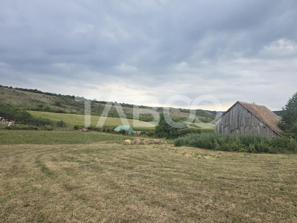 Teren de vanzare 8700 mp cu un front de 30m in Sura Mare – fotografia 7 din 8