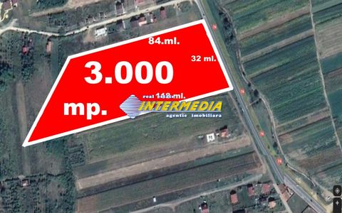 Vanzare Teren Intravilan 3000 mp d=32 ml. CENTRU Mall Zona Blocuri Noi Utilitati